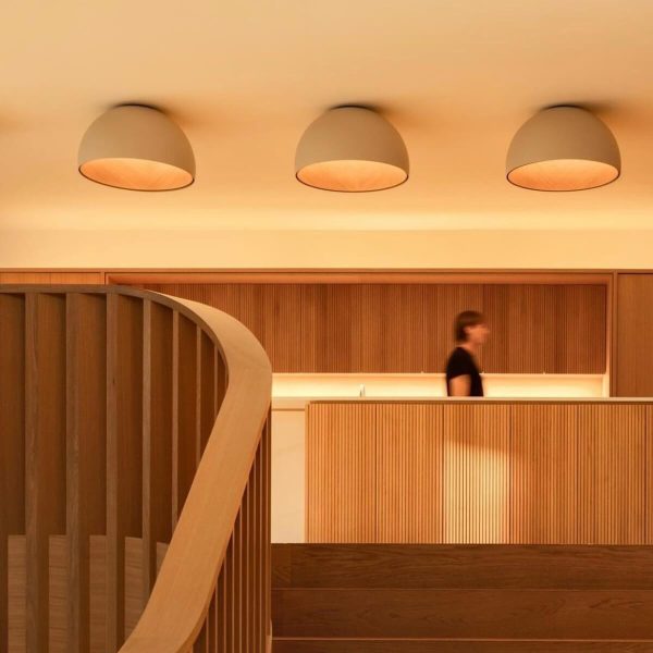 Duo Plane Ceiling Lamp - Image 2