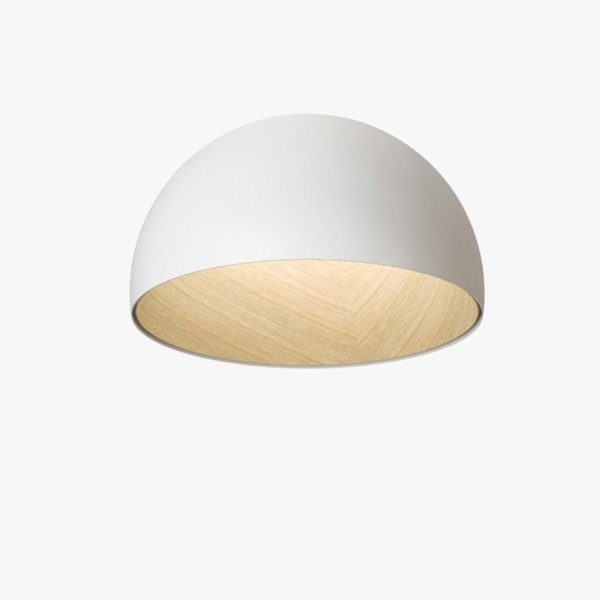 Duo Plane Ceiling Lamp