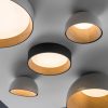 Duo Regular Ceiling Lamp - Image 2