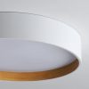 Duo Regular Ceiling Lamp - Image 18