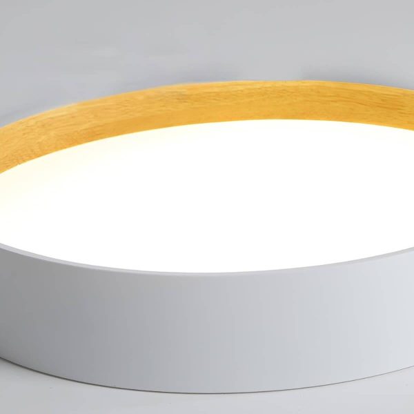 Duo Regular Ceiling Lamp - Image 19