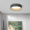 Duo Regular Ceiling Lamp - Image 7