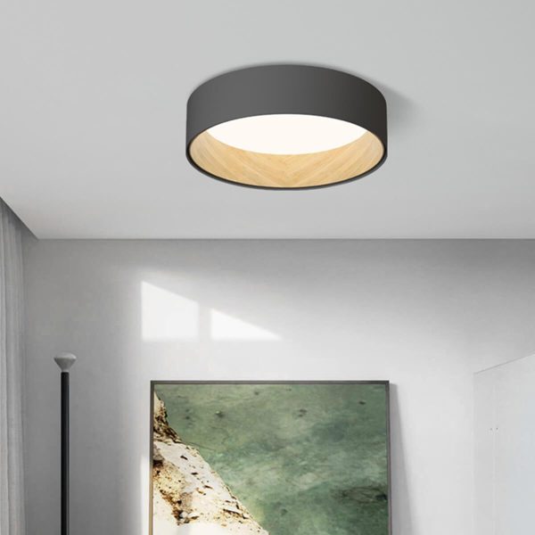Duo Regular Ceiling Lamp - Image 7