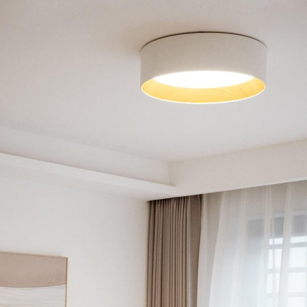 Duo Regular Ceiling Lamp - Image 8