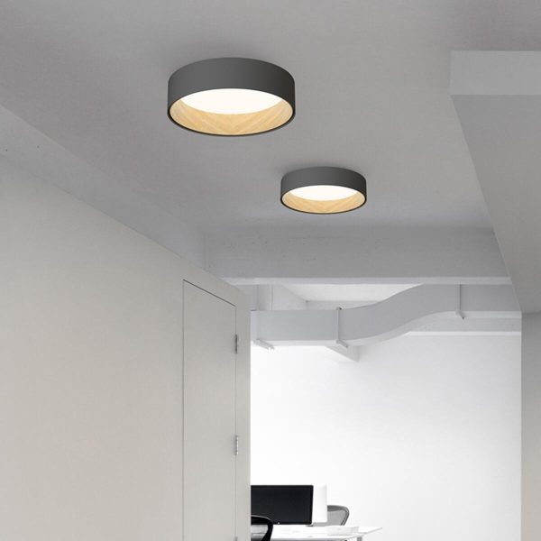 Duo Regular Ceiling Lamp - Image 9