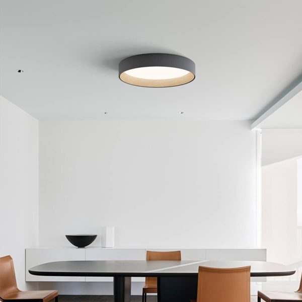 Duo Regular Ceiling Lamp - Image 11