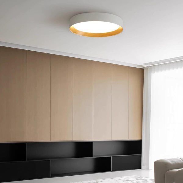 Duo Regular Ceiling Lamp - Image 15