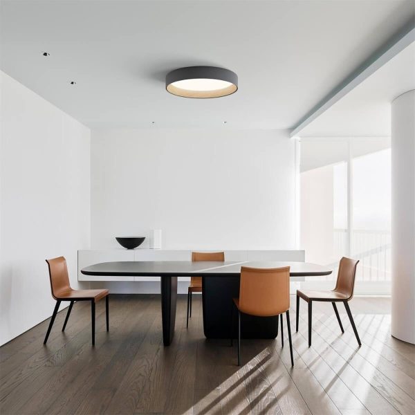 Duo Regular Ceiling Lamp - Image 3