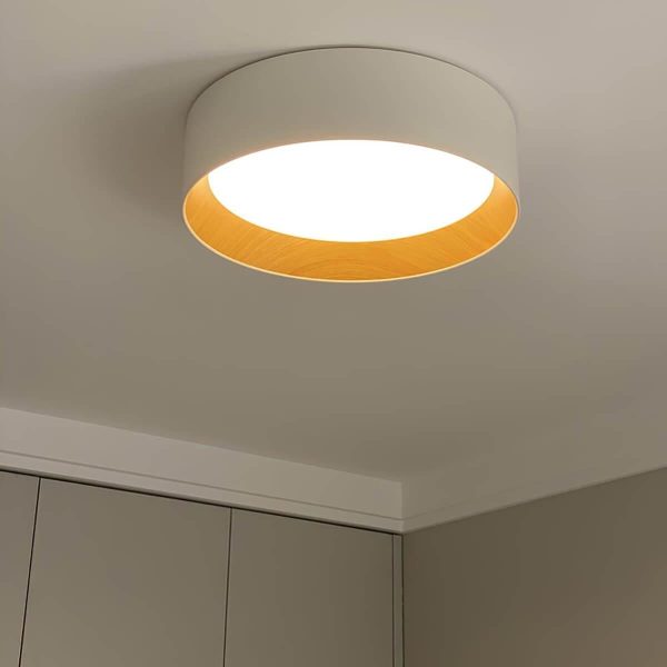 Duo Regular Ceiling Lamp - Image 5