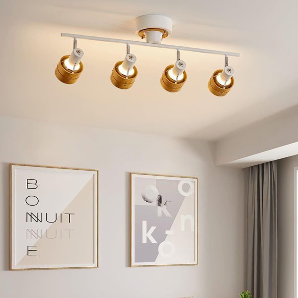 Hewes Track Lighting - Image 3