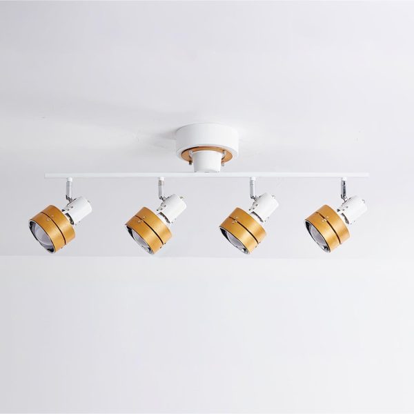 Hewes Track Lighting - Image 25