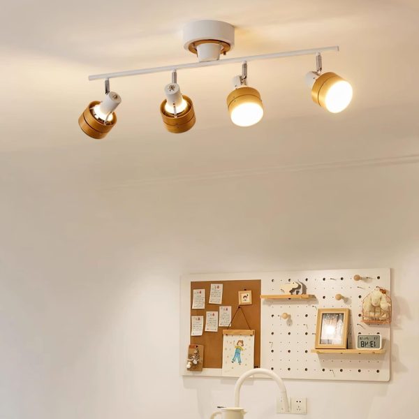 Hewes Track Lighting - Image 8