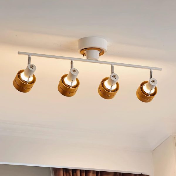Hewes Track Lighting - Image 15