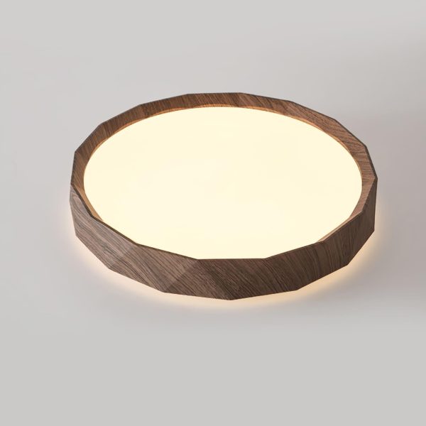 Kerio Ceiling Light - Image 4