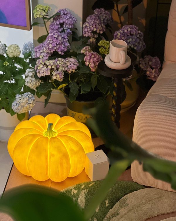 Pumpkin Table Lamp - Image 30