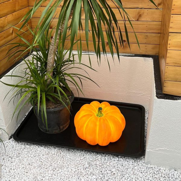 Pumpkin Table Lamp - Image 9