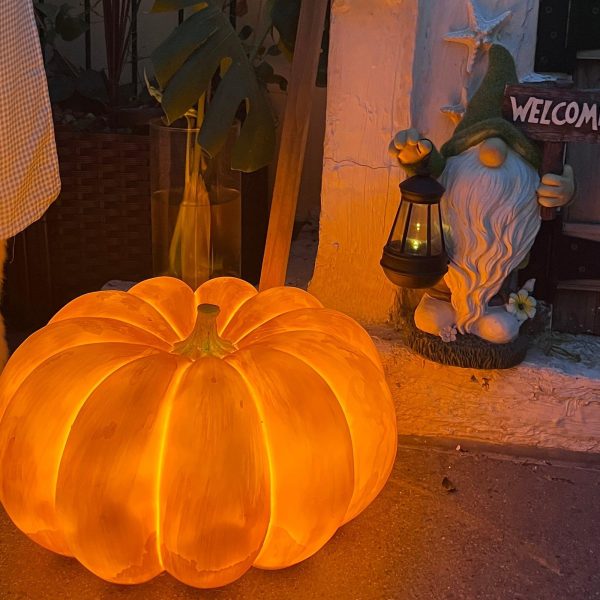 Pumpkin Table Lamp - Image 11