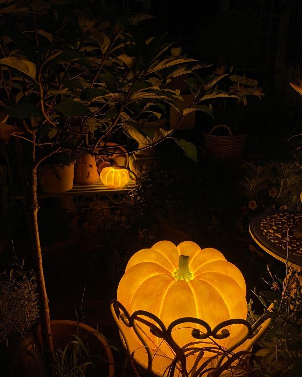 Pumpkin Table Lamp - Image 39