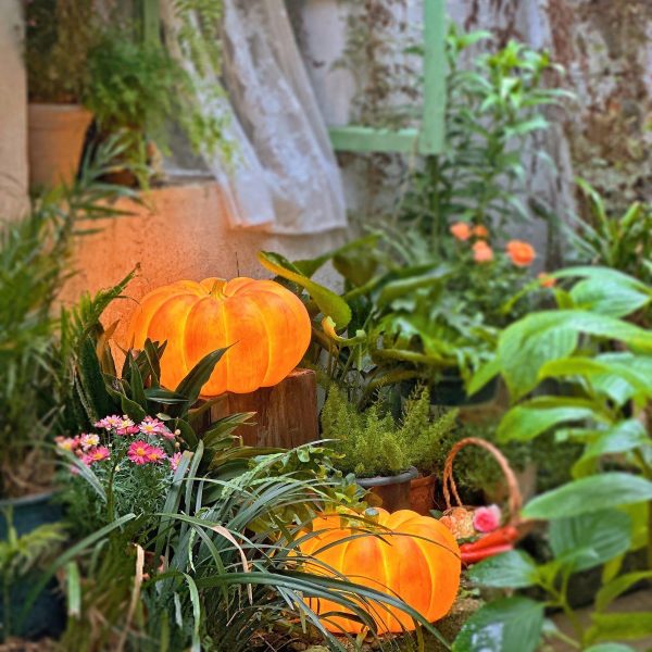 Pumpkin Table Lamp - Image 5